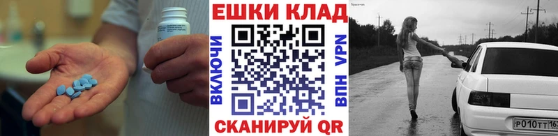 Ecstasy Philipp Plein  Купить  Циолковский 