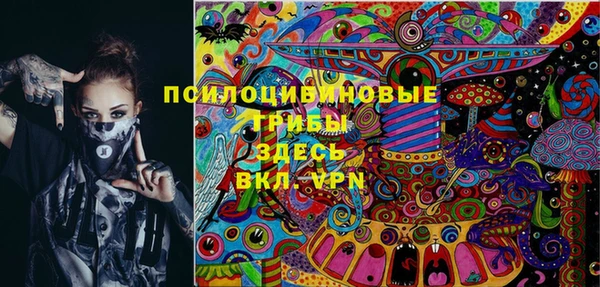 таблы Сосновый Бор