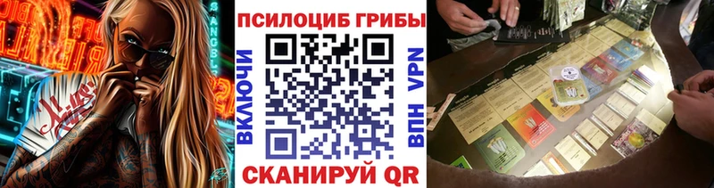 Купить закладки  Циолковский  Галлюциногенные грибы MAGIC MUSHROOMS